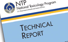 Technical Report